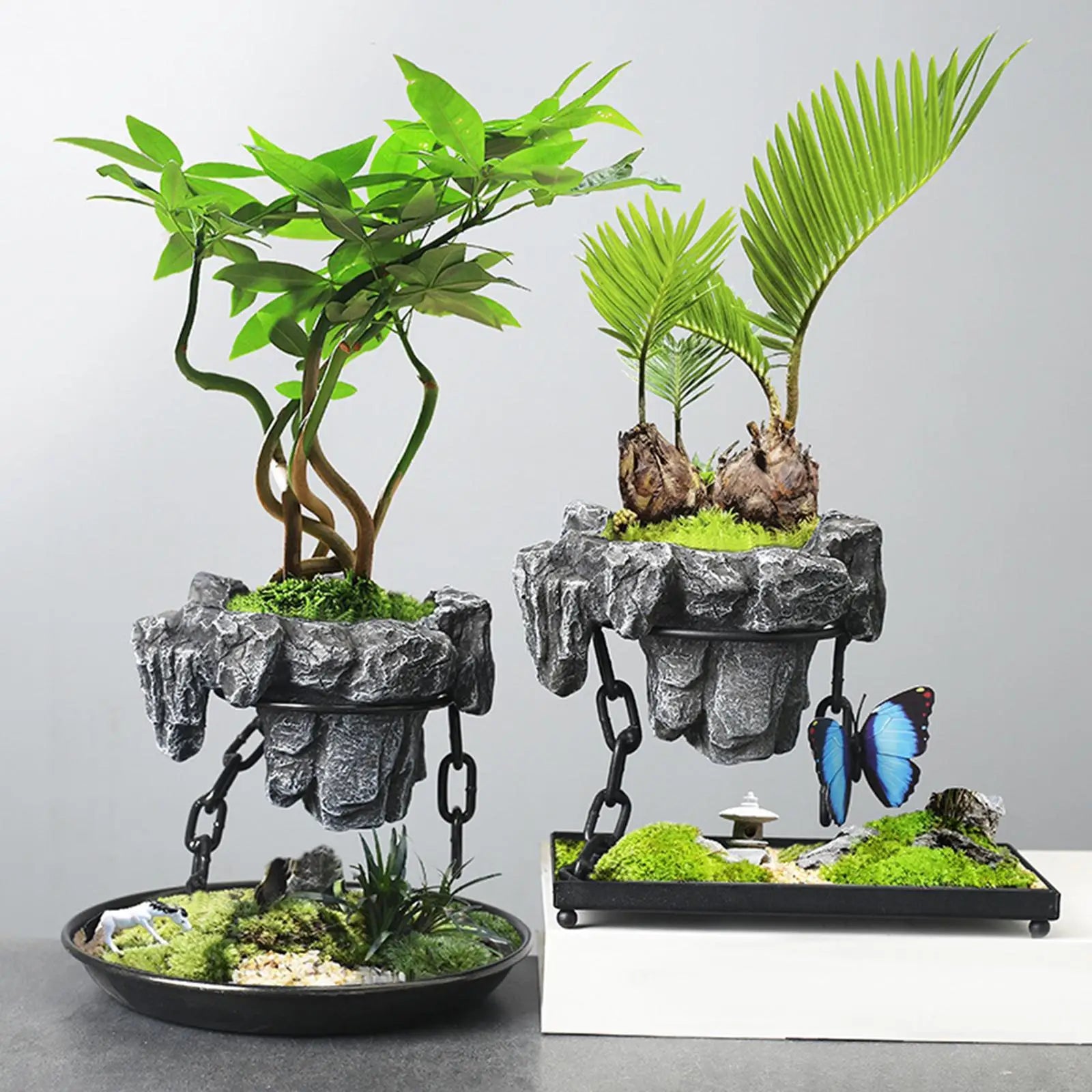 Levitating Air Bonsai - Floating Magnetic Plant Display | Cuckoo's Bazaar