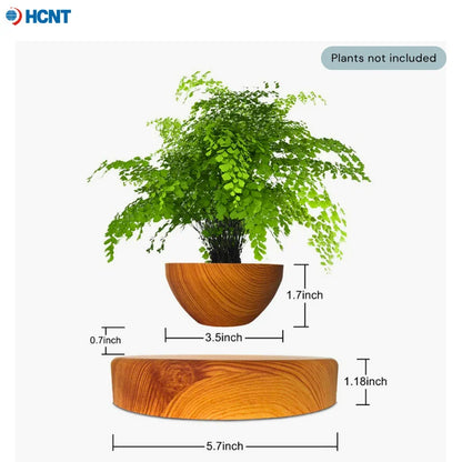 Red Magnetic Levitation / Rotation Pot